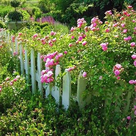 Kirkwood Inn Mason Ngoại thất bức ảnh